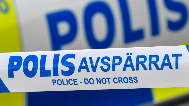 Färre svenskar utsätts för brott – men bedrägerierna ökar