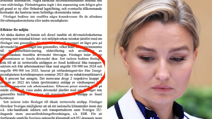 Ebba Busch