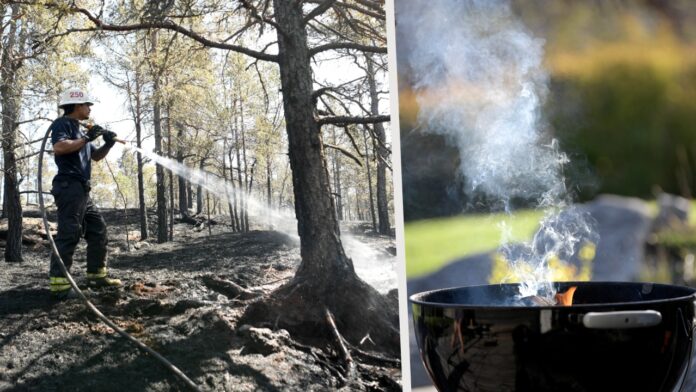 Undvika skogsbrand 2025, grilla, försiktig, gräsbrand, skydda