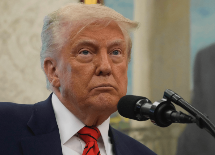 USA tullar Donald Trump handel