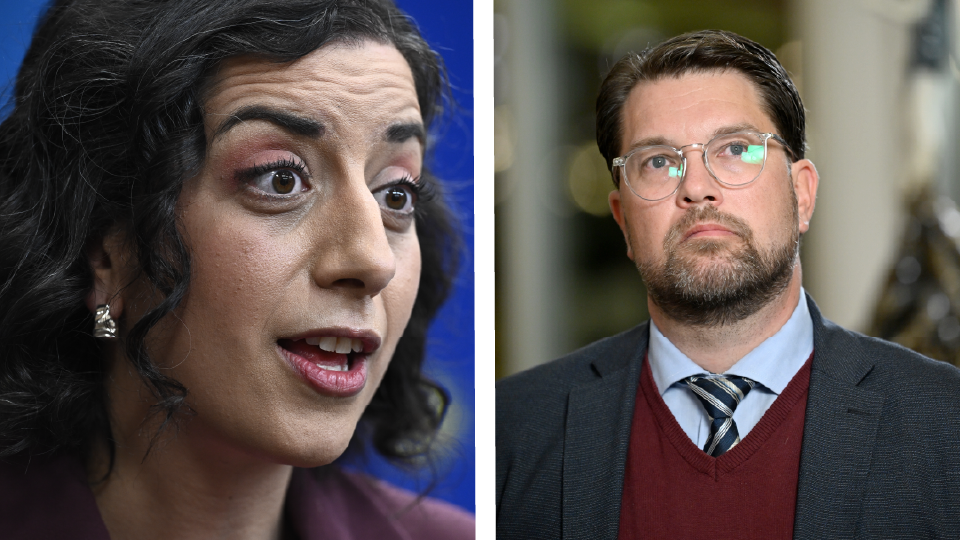 Uppgifter: Liberalerna kommer ställa sig bakom SD i regering